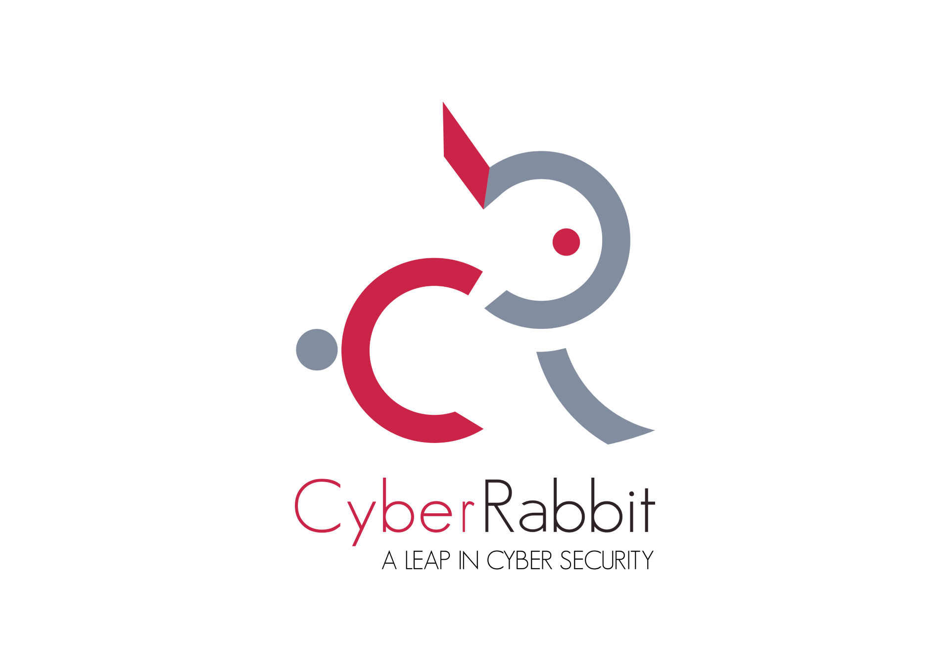 CyberRabbit